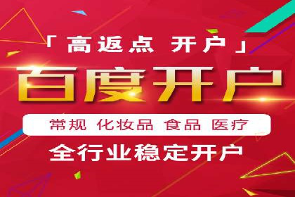 案例解析：揭秘高效竞价推广技巧